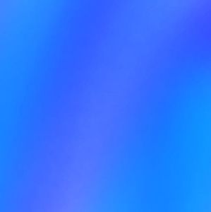 Meet your Posher, Ninel